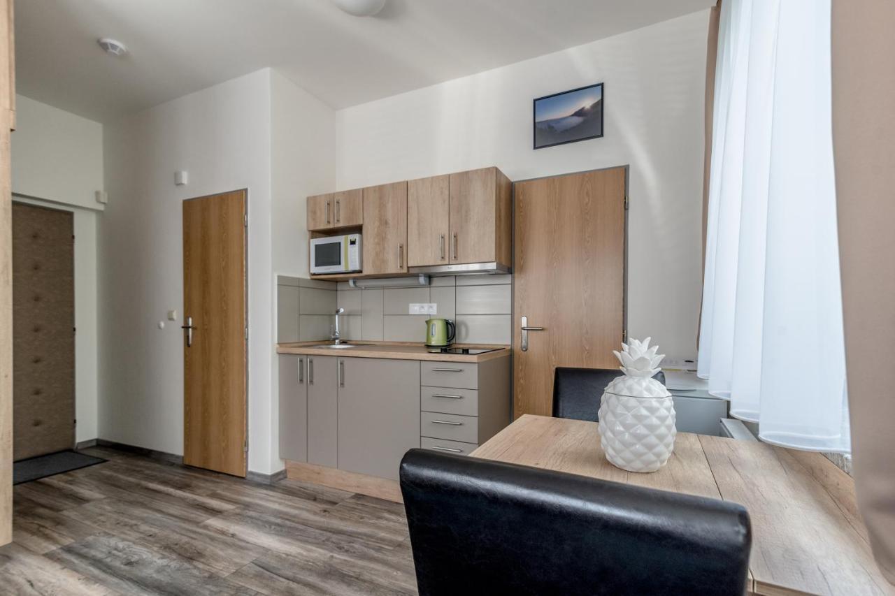 Apartamento Modern Fully Equipped Studio With Parking Zavadilka 2620 Ceske Budejovice Exterior foto